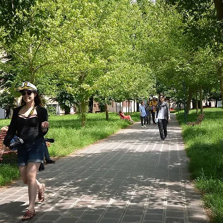 Barbera-biennale Wenecja