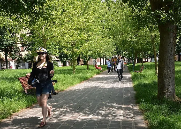 Barbera-biennale البندقية